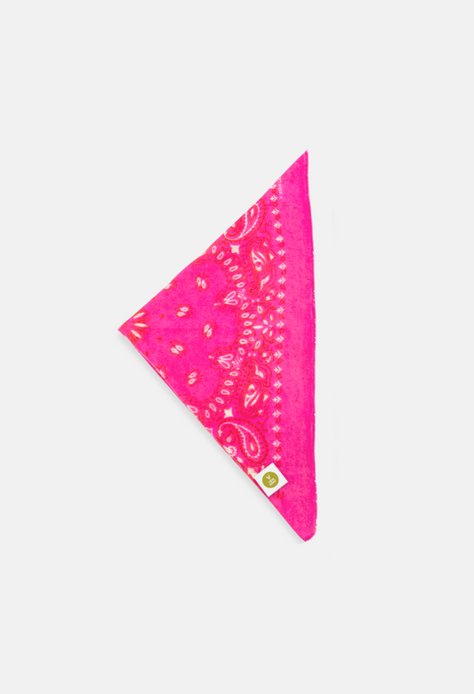 Von Goat Foulard Calvina Paisley E