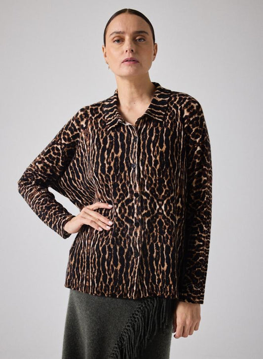 Not Shy Camisa Lee