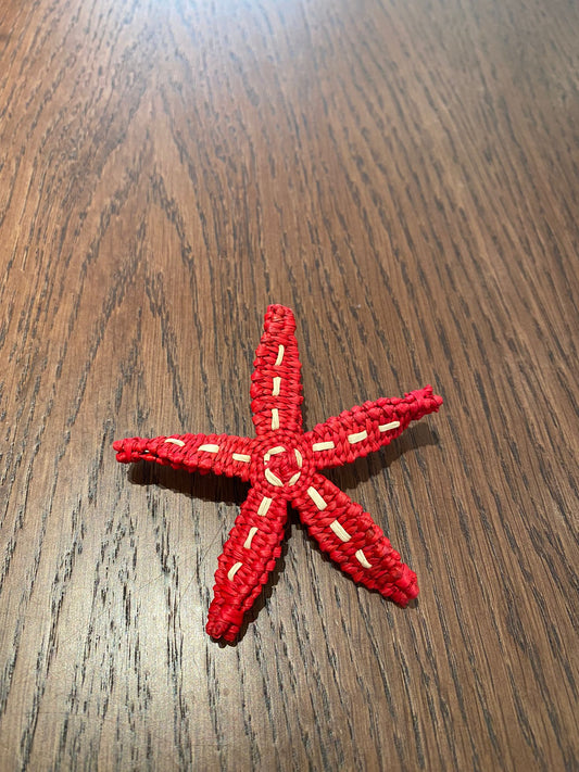 Aliu Pin Starfish